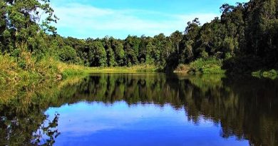 Taman Nasional Lore Lindu