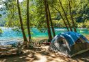 5 Tips Camping di Hutan yang Seru dan Aman